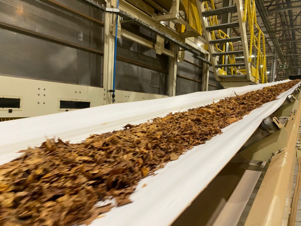 Crescimento das Exportações de Tabaco Brasileiro em 2025: Uma Nova Era Comercial Crescimento das Exportações de Tabaco Brasileiro em 2025: Uma Nova Era Comercial