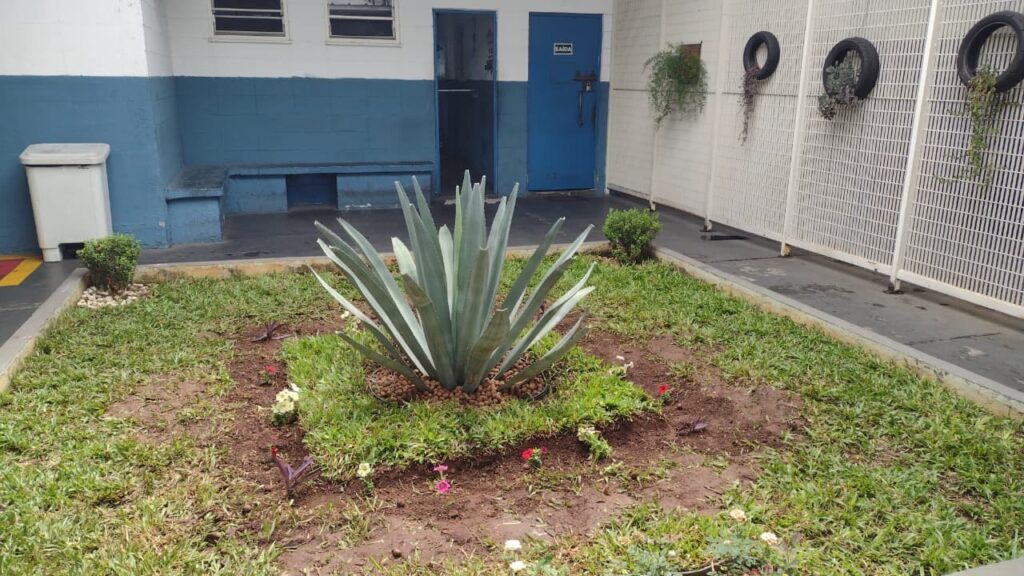 Atendimento a Adolescentes na Fundação Casa de Sorocaba: Educação, Saúde e Oportunidades Atendimento a Adolescentes na Fundação Casa de Sorocaba: Educação, Saúde e Oportunidades