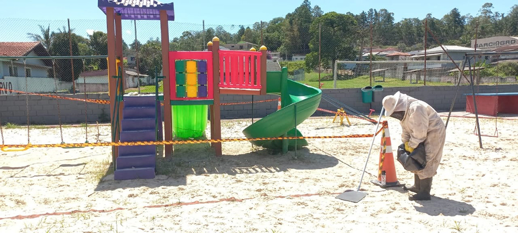 Crescimento dos Ataques de Abelhas: Um Alerta para a Saúde Pública no Brasil Crescimento dos Ataques de Abelhas: Um Alerta para a Saúde Pública no Brasil