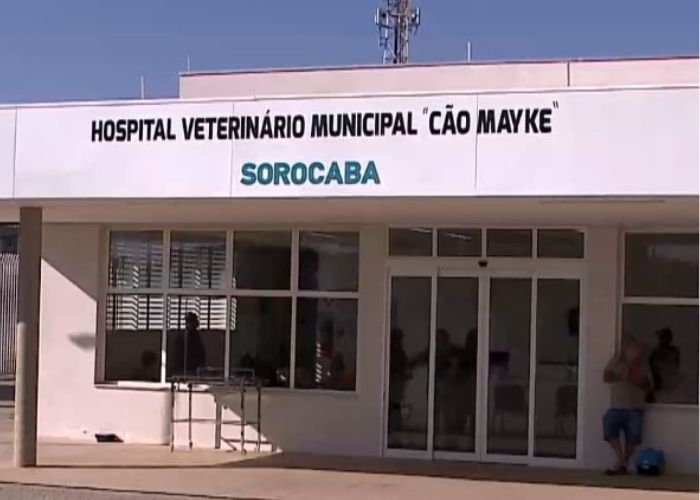 Irregularidades no Hospital Veterinário Municipal de Sorocaba: Entenda a Situação Irregularidades no Hospital Veterinário Municipal de Sorocaba: Entenda a Situação