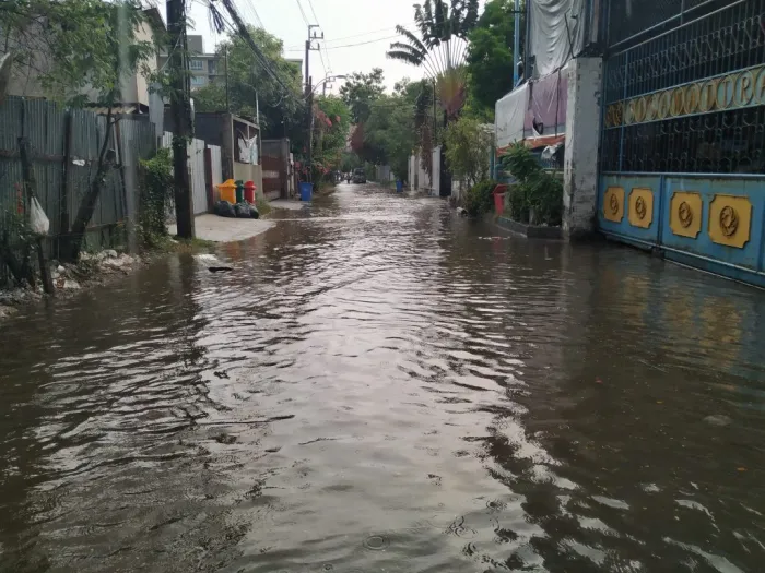 Leptospirose: Infectologistas do HSPE Alertam para Diagnóstico Precoce Leptospirose: Infectologistas do HSPE Alertam para Diagnóstico Precoce