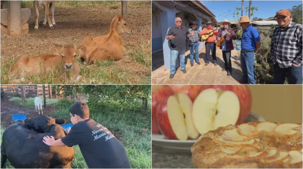 Retrospectiva 2025: Reviva as Melhores Reportagens do Nosso Campo