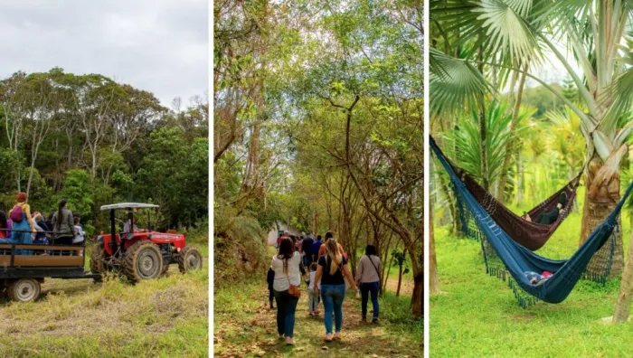 SP Produz: Sustentabilidade e Cultura Impulsionam Economia em São Paulo SP Produz: Sustentabilidade e Cultura Impulsionam Economia em São Paulo