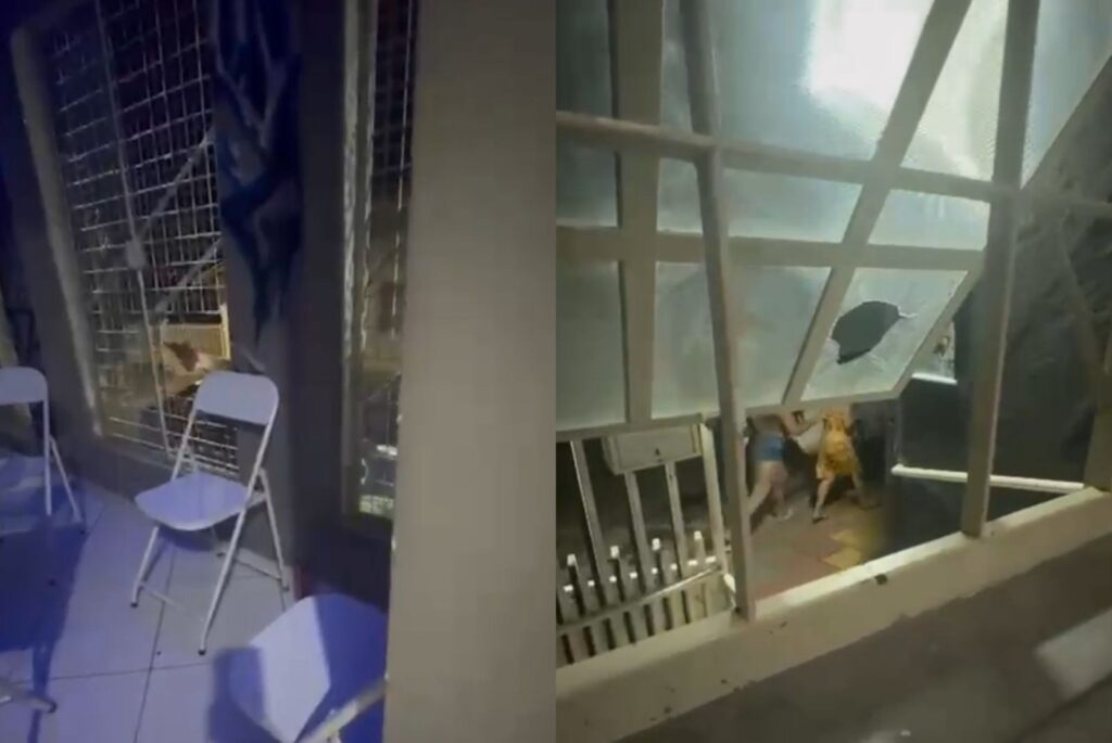 Tiroteio em Adega de SP: Confusão por Som Alto Termina em Violência Tiroteio em Adega de SP: Confusão por Som Alto Termina em Violência