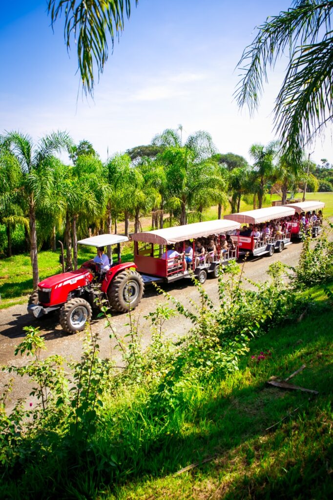 Turismo Rural em Alta: Parque Maeda Completa 28 Anos e Atrai Visitantes em Busca de Natureza