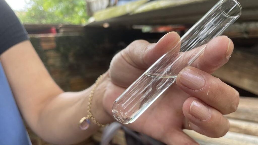 Aumento de Focos de Mosquito da Dengue em Rio Grande: Alerta para a População Aumento de Focos de Mosquito da Dengue em Rio Grande: Alerta para a População