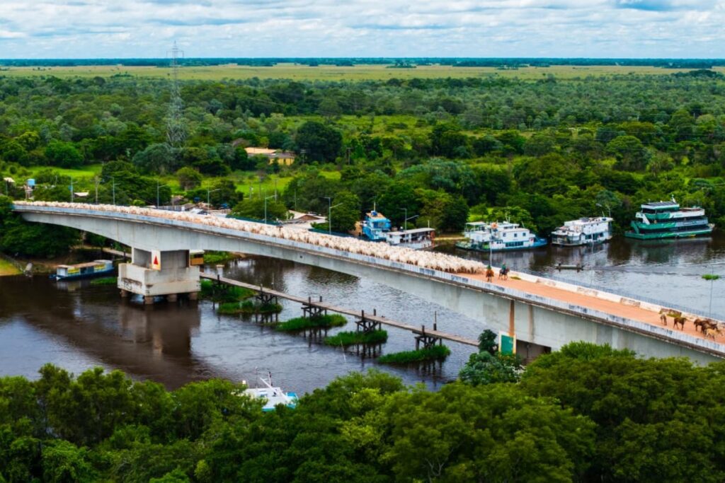 Fotógrafo Captura a Cultura Pantaneira em MS: Uma Comitiva de Tradições