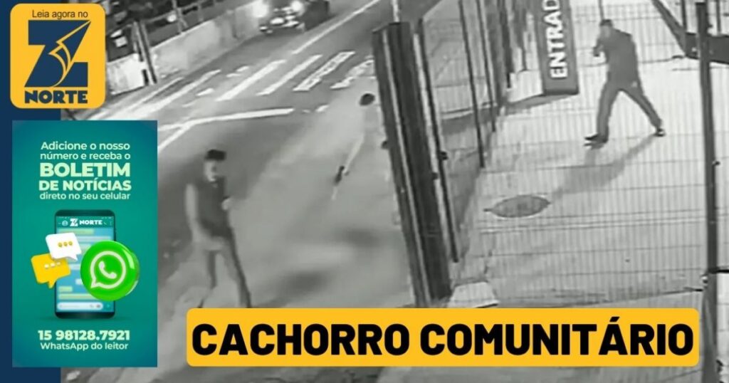 Policial Militar Presta Depoimento Após Morte de Cachorro Comunitário em SP Policial Militar Presta Depoimento Após Morte de Cachorro Comunitário em SP