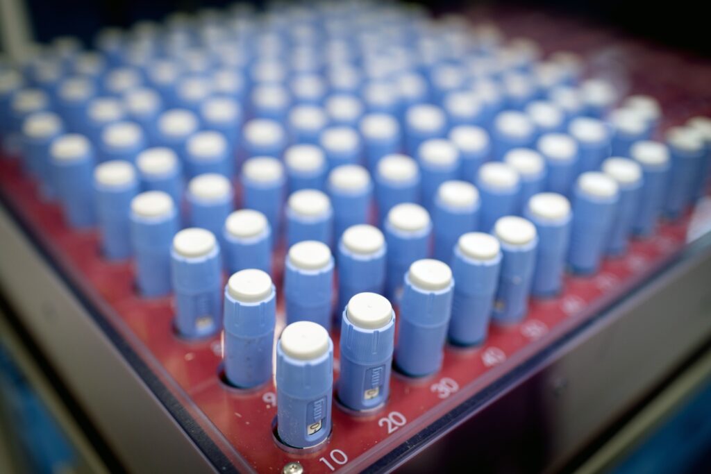 Canetas Emagrecedoras: Iniciativas Municipais em Tempos de Eleições