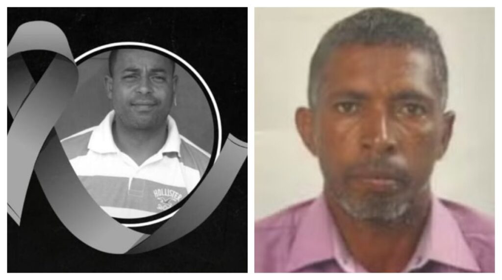 Chuva em São Paulo: Número de Vítimas Chega a 21 Após Temporais