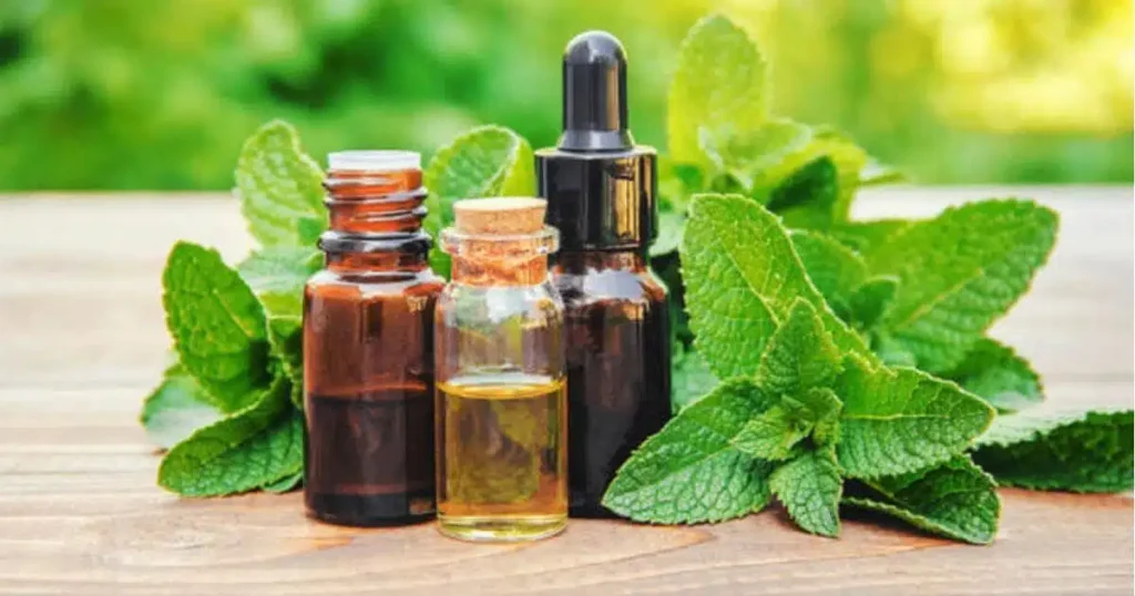 Concurso da Prefeitura de Sorocaba: 26 Vagas na Saúde com Salários Atrativos Concurso da Prefeitura de Sorocaba: 26 Vagas na Saúde com Salários Atrativos