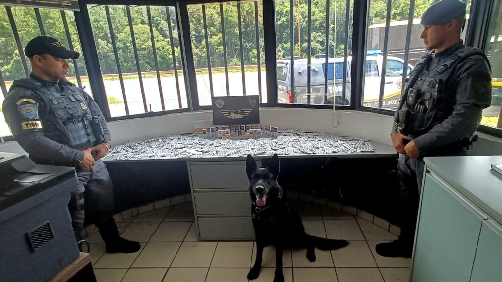 Polícia Apreende Medicamentos Ilegais e Anabolizantes em Operação em Itu