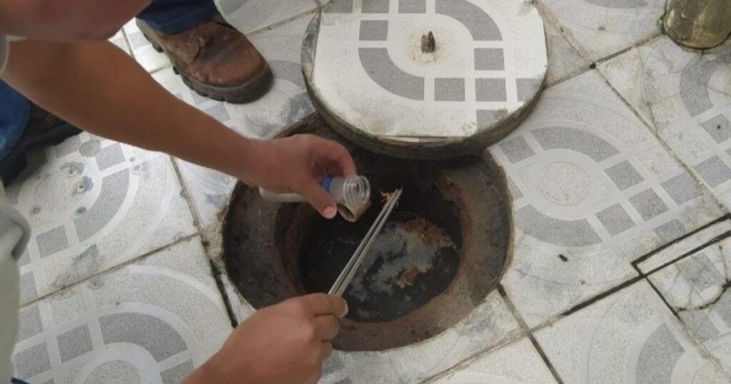 Prevenção e Atendimento em Casos de Picadas de Escorpião em Maceió Prevenção e Atendimento em Casos de Picadas de Escorpião em Maceió