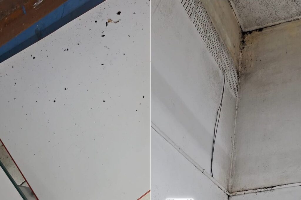 Denúncias de Problemas Sanitários e Estruturais em Escola Municipal de SP