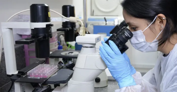 Estudo Revela Alvos Genéticos Promissores Contra a Esquistossomose Estudo Revela Alvos Genéticos Promissores Contra a Esquistossomose