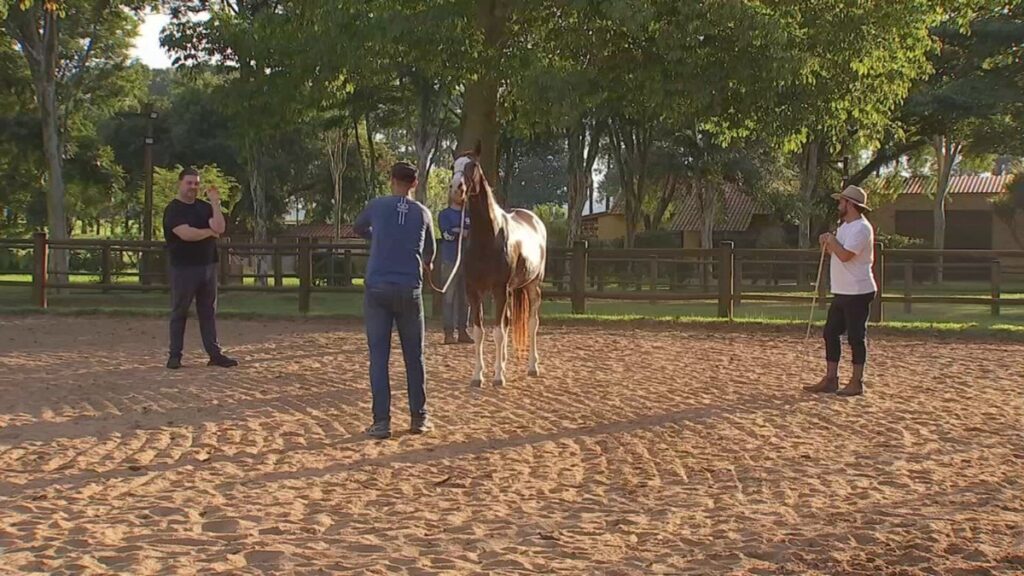 Expo Agro de Itapetininga: Tradição e Movimento Econômico em Ascensão Expo Agro de Itapetininga: Tradição e Movimento Econômico em Ascensão