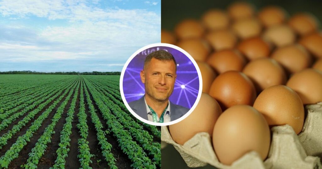 Ricardo Faria: Conheça os Segredos por Trás do 'Rei do Ovo' e Seus Negócios Bilionários