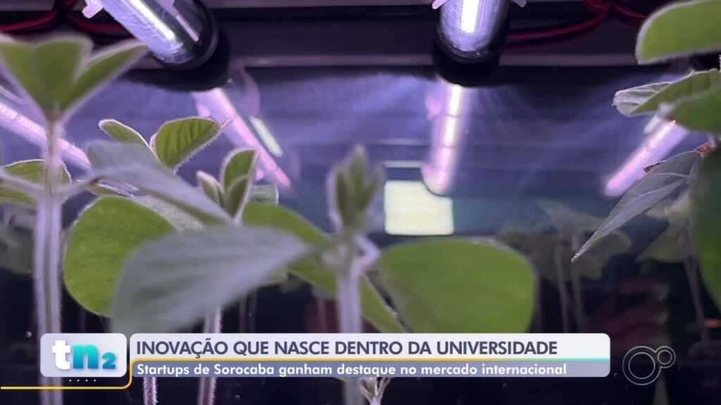 Startups de Sorocaba Inovam no Mercado de Trabalho com Criatividade e Tecnologia