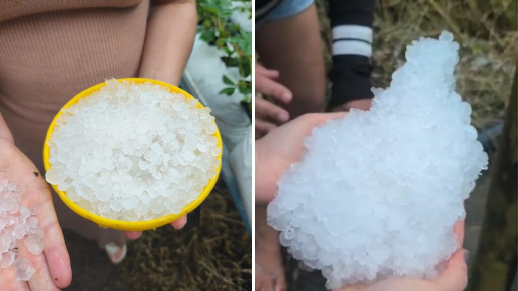 Temporal com Granizo Causa Danos e Prejuízos no Interior de SP