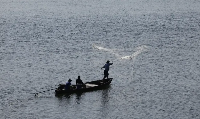Universidade do Mar: Projeto Inovador é Lançado no Rio de Janeiro Universidade do Mar: Projeto Inovador é Lançado no Rio de Janeiro