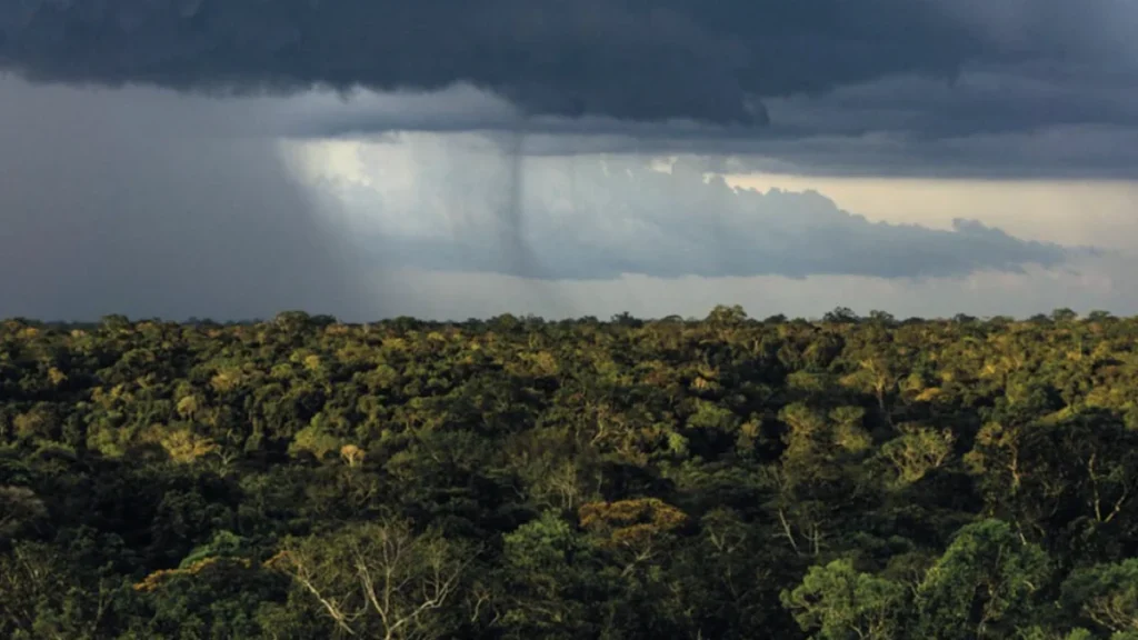 Como Mudanças Climáticas e Desmatamento Tornam Chuvas na Amazônia Mais Instáveis até 2050 Como Mudanças Climáticas e Desmatamento Tornam Chuvas na Amazônia Mais Instáveis até 2050