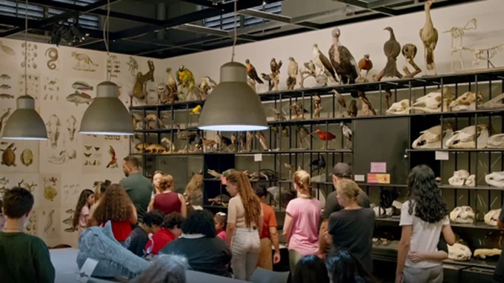 Museu de Zoologia da USP: Conheça os Bastidores e a Ciência por Trás do Acervo