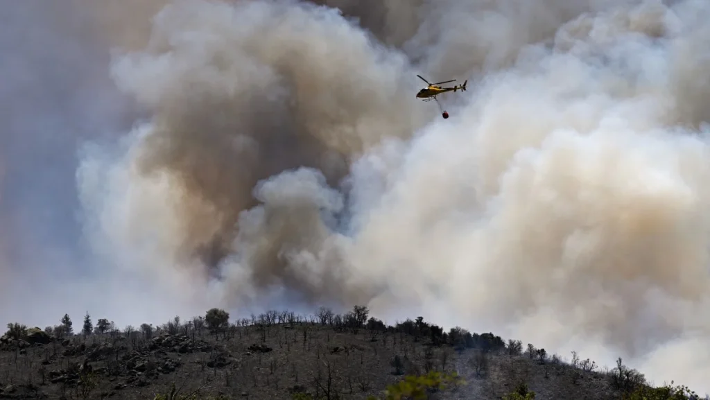 Calor Extremo e Incêndios Devastam Mais de 17 Mil Hectares de Florestas na Europa