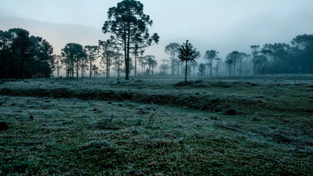 Clima em Julho 2026: Mais Frio e Chuva Acima da Média no Brasil
