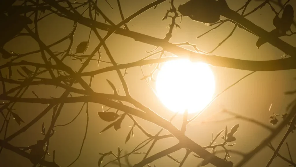 Clima em agosto: alertas de tempestades e baixa umidade impactam o dia a dia Clima em agosto: alertas de tempestades e baixa umidade impactam o dia a dia